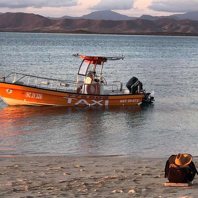 Waves Seeker