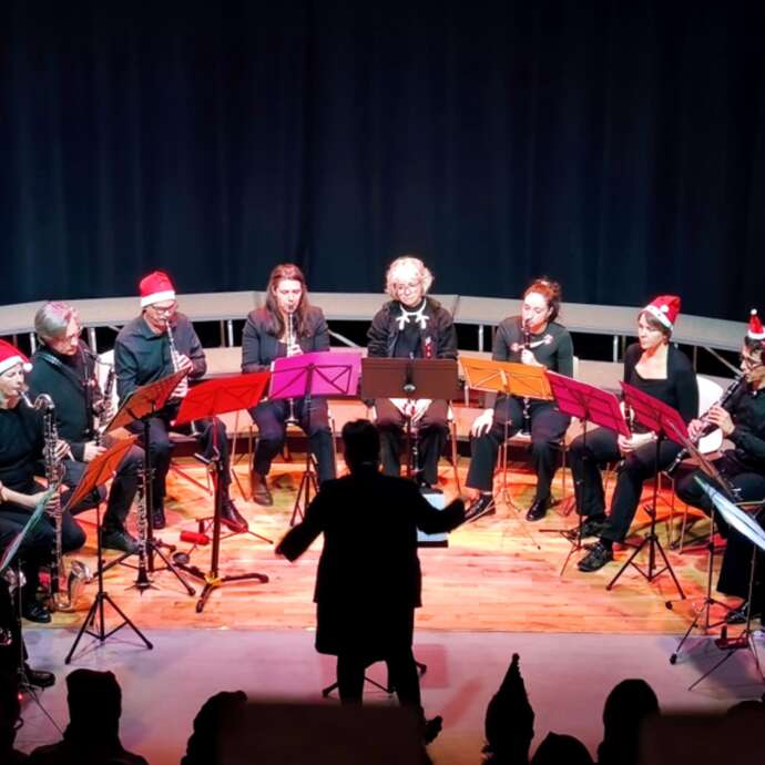 Les clarinettistes de la loire