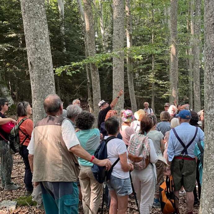 Lectures sous l'arbre