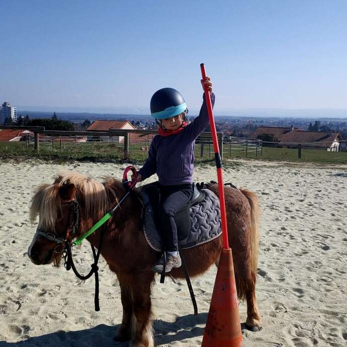 Balade en main - Poney Shetland