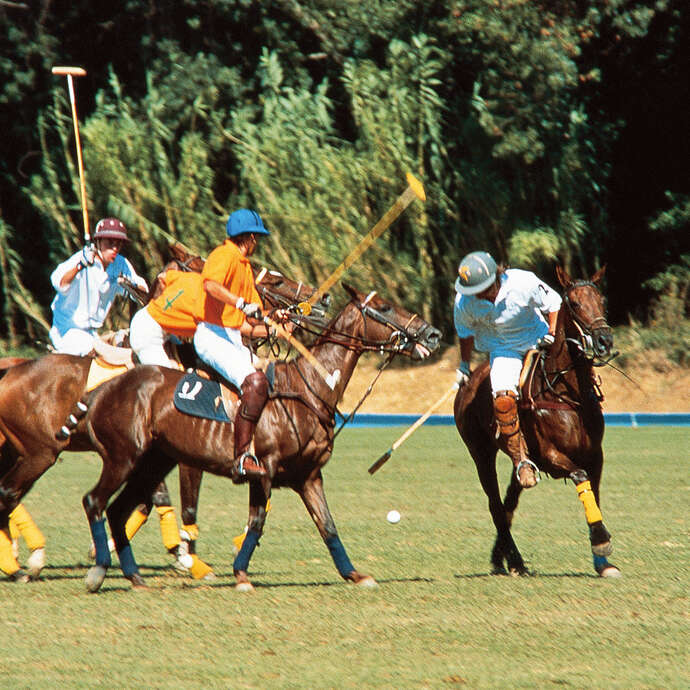 Tournoi de polo - Sun trophy