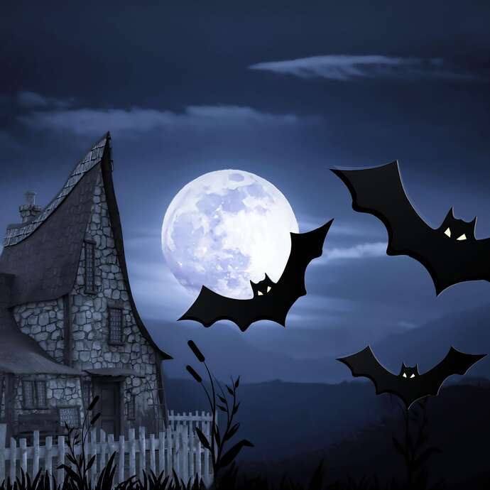 Soirée chauve-souris à Champdieu
