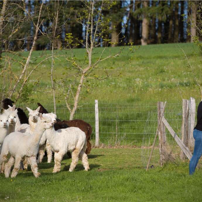 De ferme en ferme - La Ferme de Kalmia