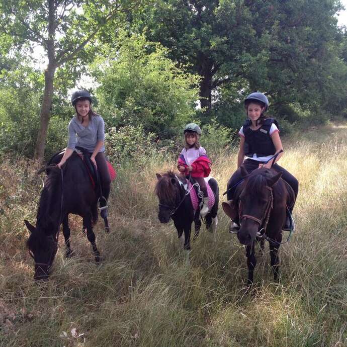 Stallungen Bertrand Bougault