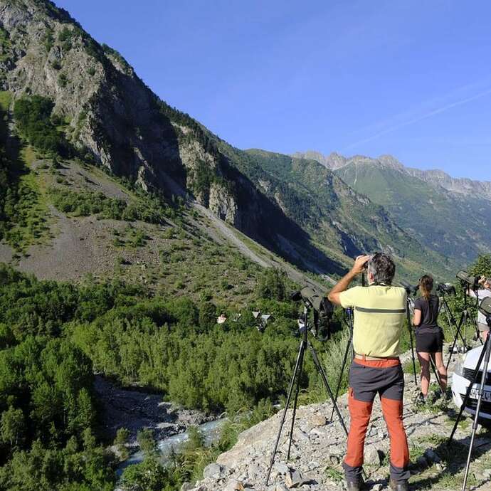 Fête de la nature : gypaètes et lac du Lauzon avec le Parc national des Ecrins