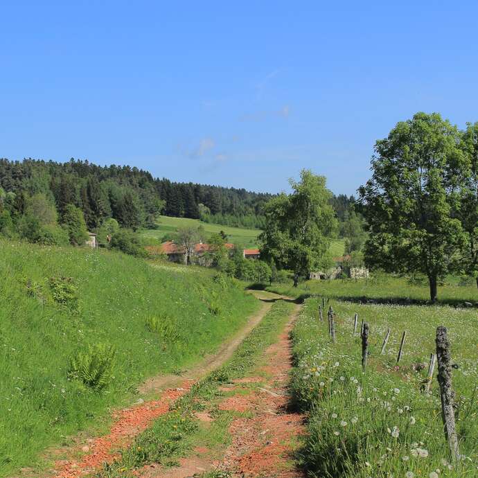 Le circuit des Forêts