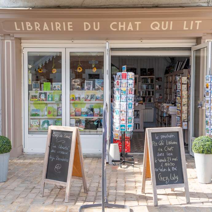 La librairie du chat qui lit