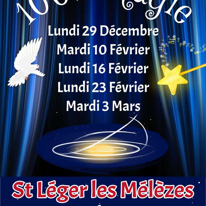 Spectacle 100% magie