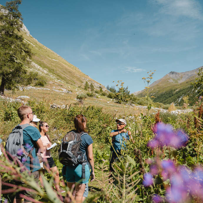 Mindfulness walk
