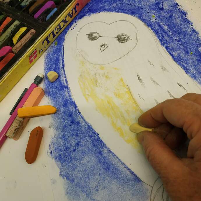 Exposition participative "Oiseaux"