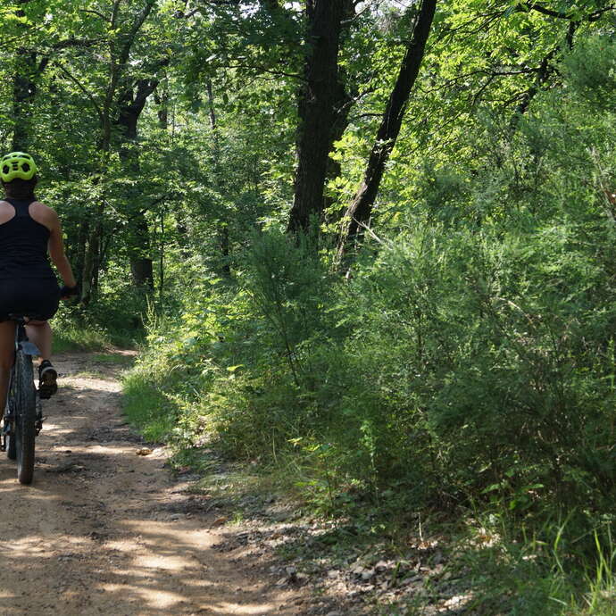 N°2 Par monts, vaux et forêts