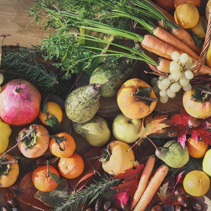 Ferme de la Plagne - Maraîcher
