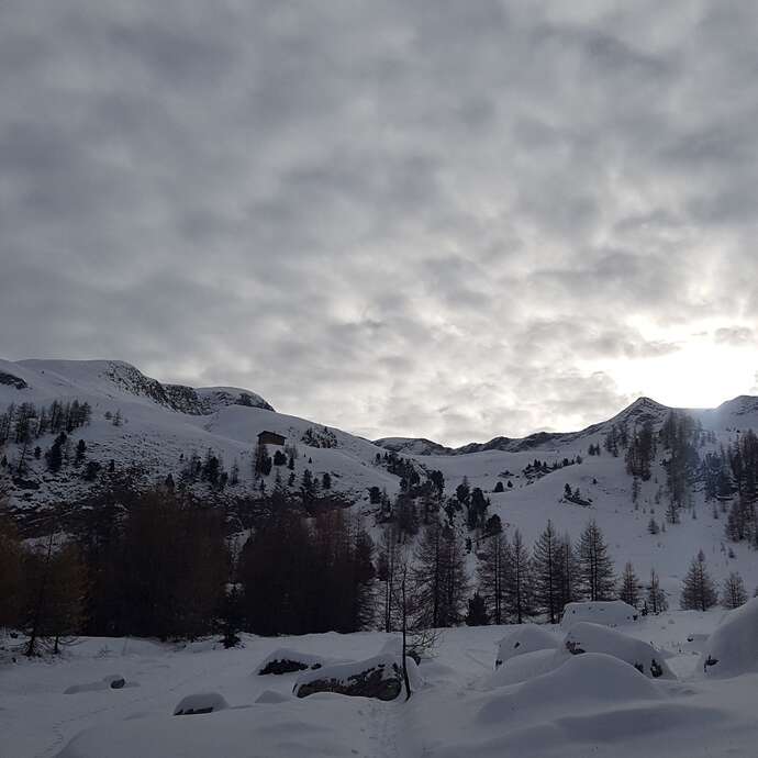 Balade gourmande à Ancelle - Accompagnateurs en montagne du Champsaur