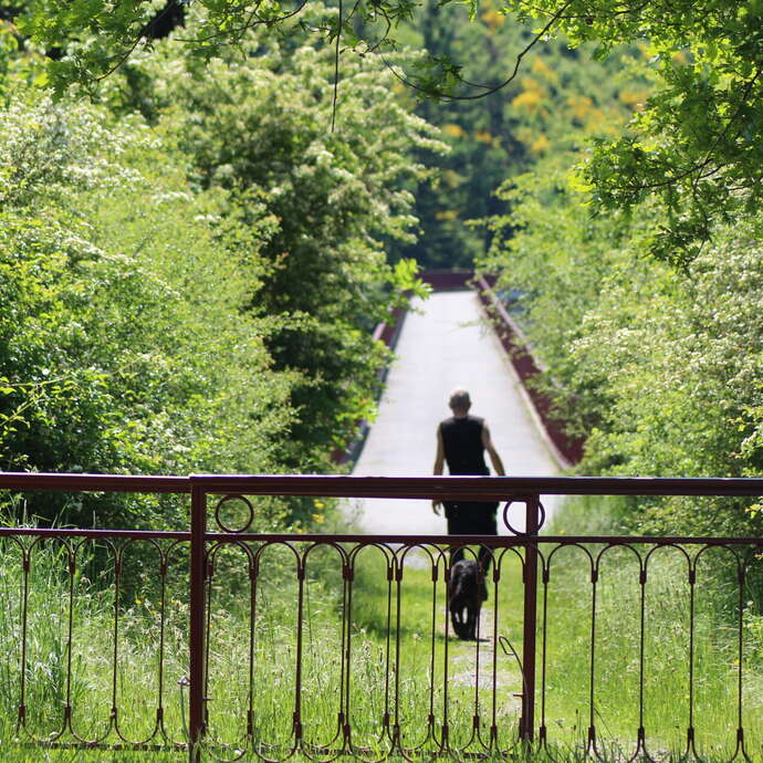 Sentier découverte du viaduc du pont marteau : le bois de la dame