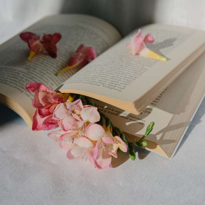 Adult bibliotherapy workshop