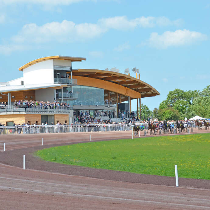 Courses à l'hippodrome