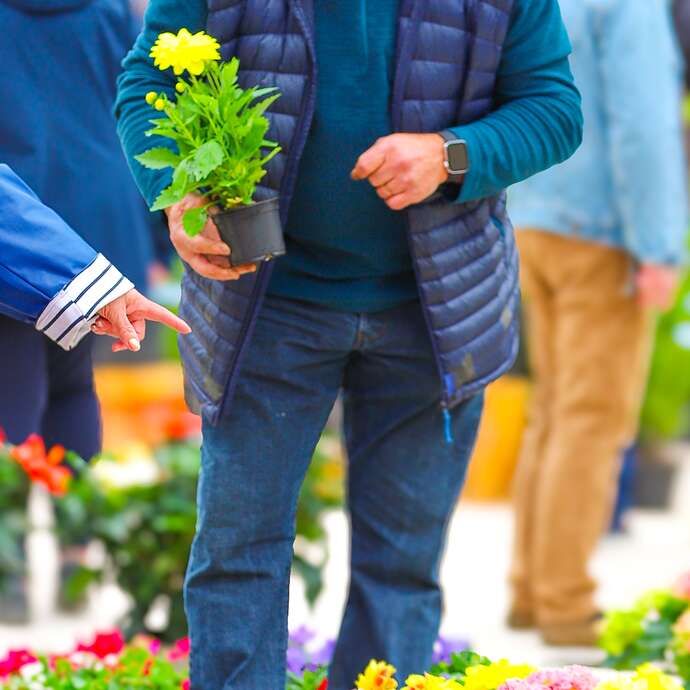 Marché de printemps 2026