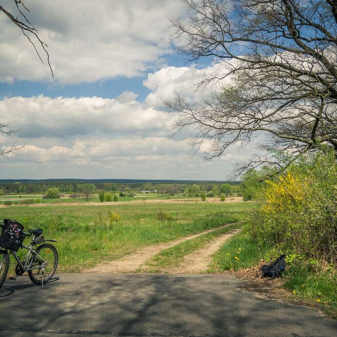 Sortie découverte : Balade à vélo jusqu'à l'Etang David