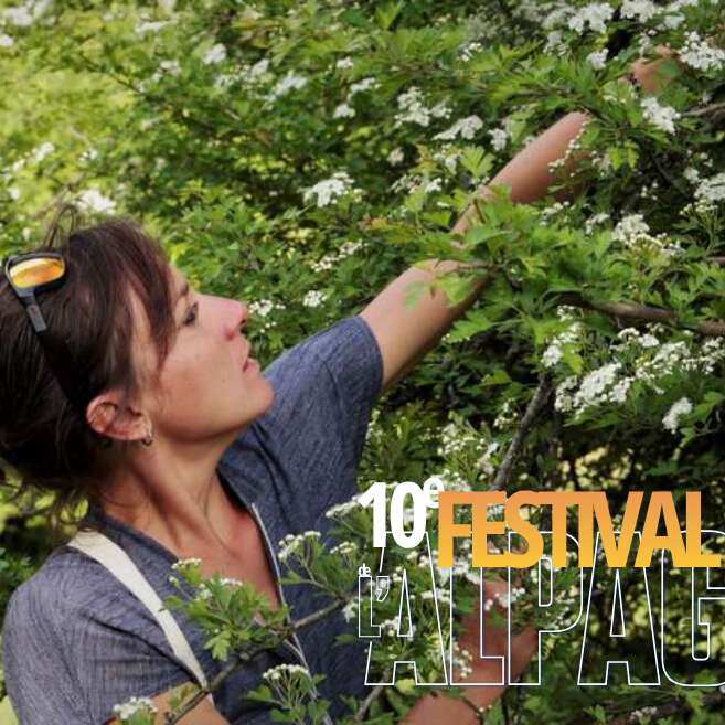 Festival de l'Alpage : Sortie ethnobotanique à la découverte de la forêt de Bois Vert