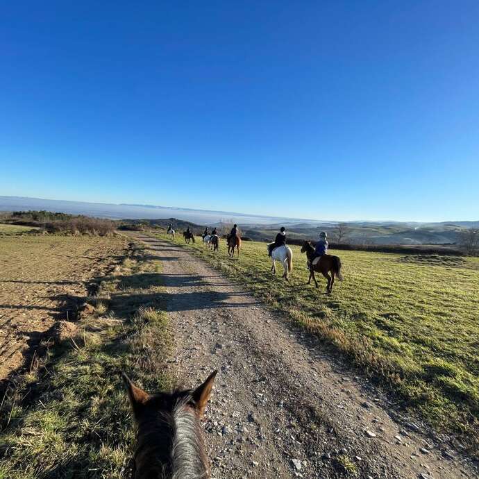 Randonnées à cheval - Centre Equestre Régional du Forez