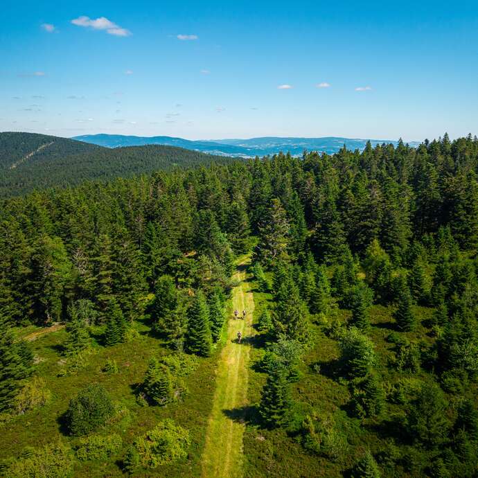 N°79 - Col de la  Loge - circuit enduro - Espace VTT-FFC Massif des Bois Noirs