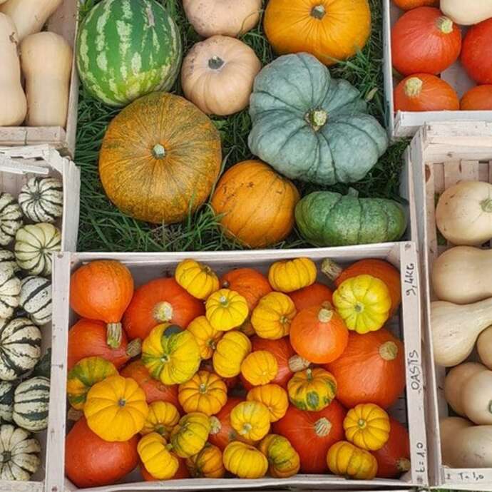 Visite et dégustation à la Ferme de l'Oasis