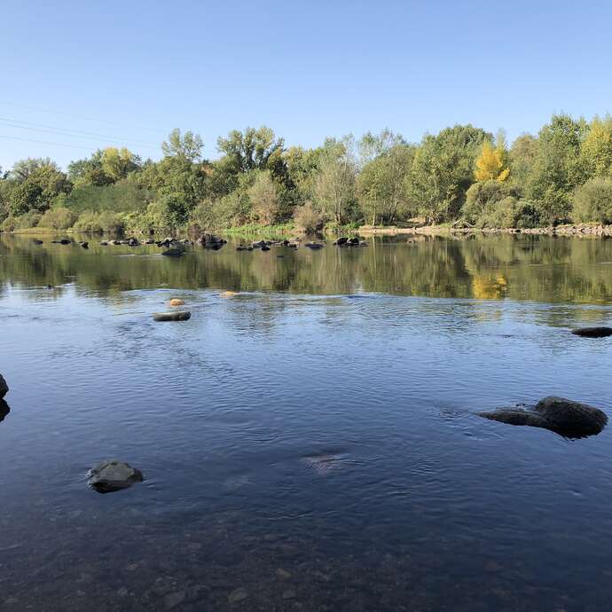 Fête du fleuve Loire