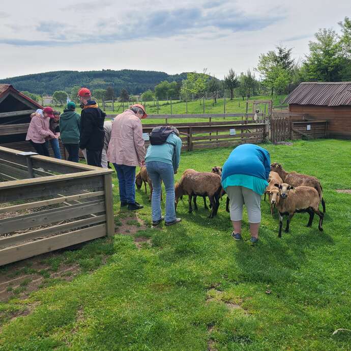 Celebrate your birthday at the honey house