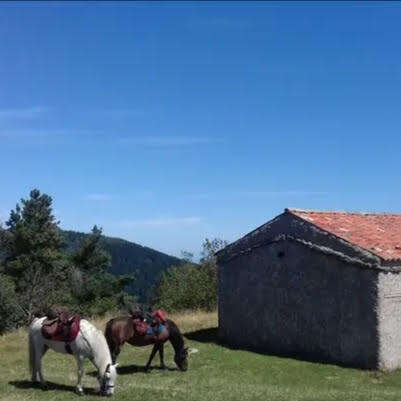 Les Sabots de la Vigne - Balades, randonnées et voyages équestres