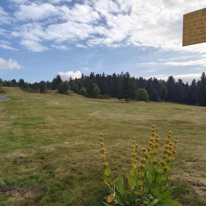 Aire de service et de stationnement camping-car "les Granges"