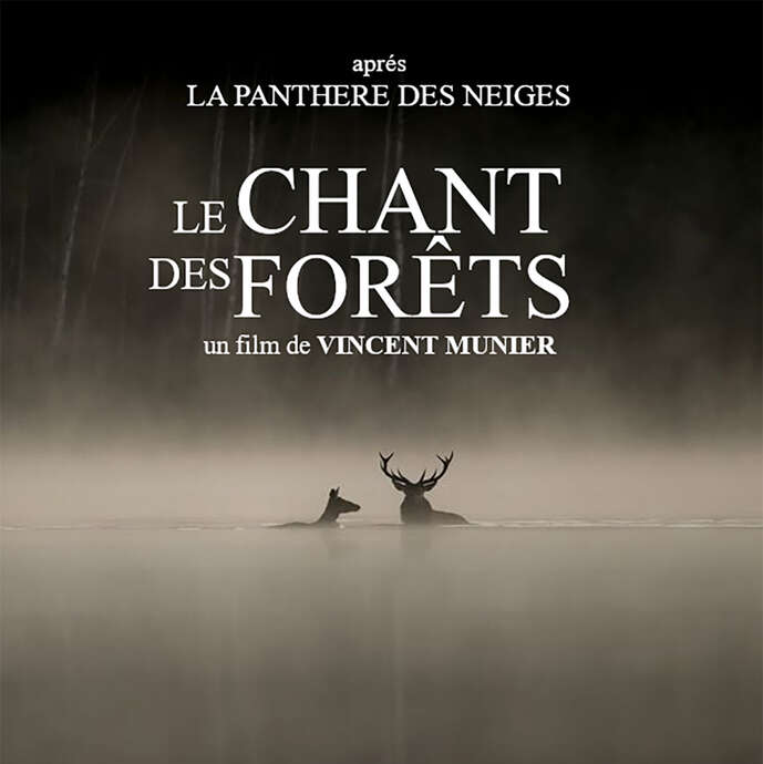 Le chant des forêts