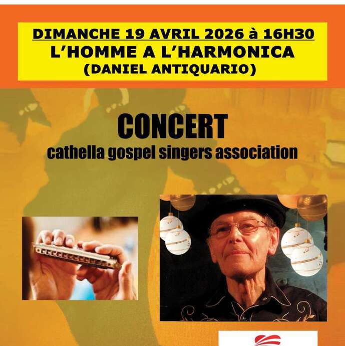 Concert de l'homme à l'harmonica
