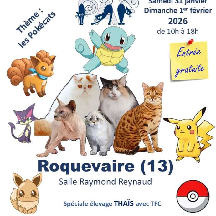 Salon du chat de race