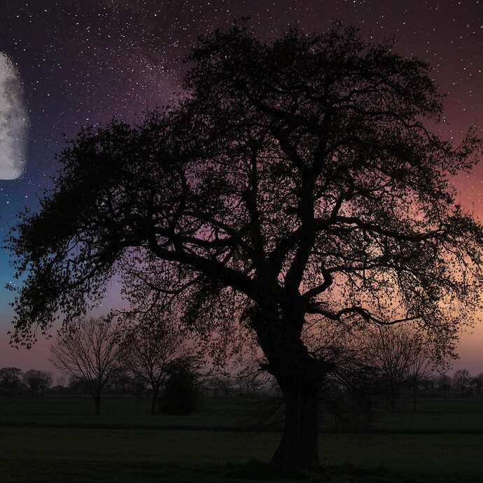 Marche sous les étoiles