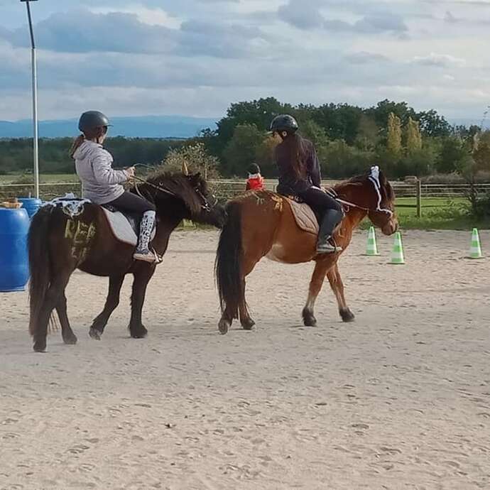 Randonnées à cheval - Les chevaux de la plaine