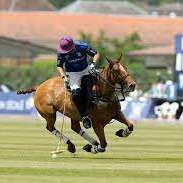 Tournoi de polo - La saga challenge