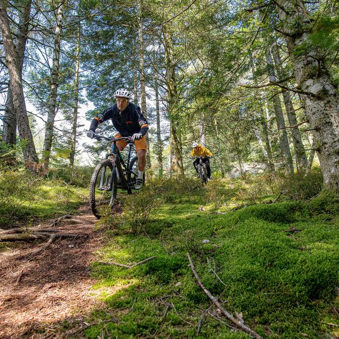 N°110 - Le chemin du pèlerin - Espace VTT Montbrison-Monts du Forez
