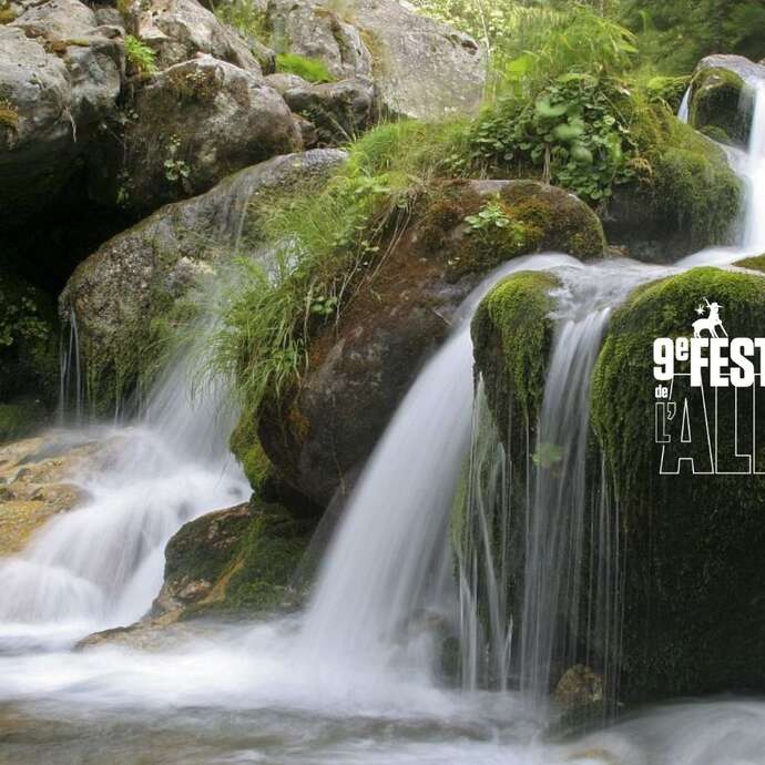 Festival de l'Alpage : Randonnée à l'aube