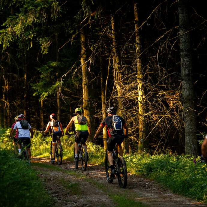 N°101 - Les fours à poix - Espace VTT Montbrison-Monts du Forez