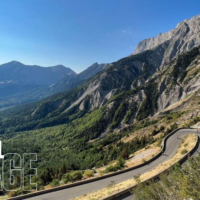 Festival de l'Alpage : À la découverte des plantes du Col du Noyer