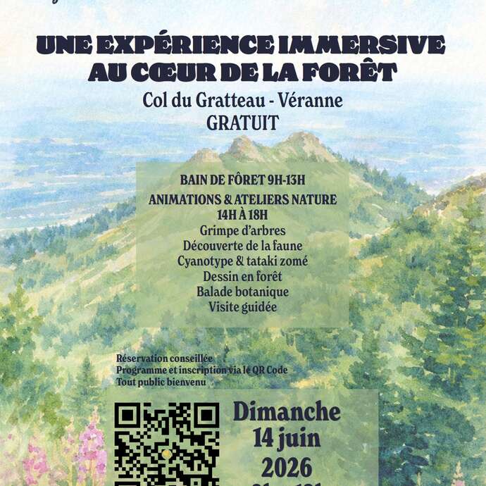 Après-midi immersif en forêt : découverte, nature et sensibilisation
