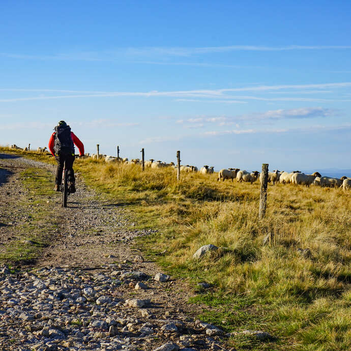 N° 27 - Pierre sur Haute - Espace VTT-FFC Massif des Bois Noirs