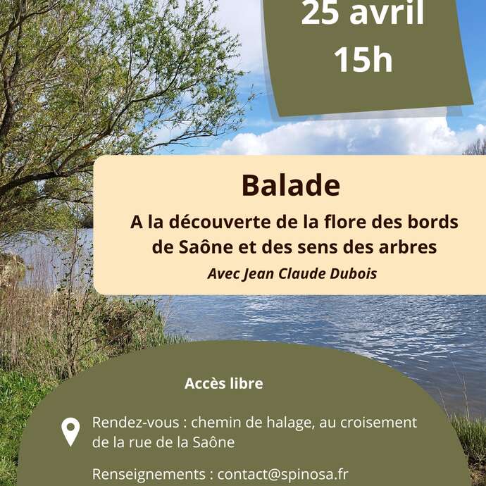 Balade botanique en bords de Saône