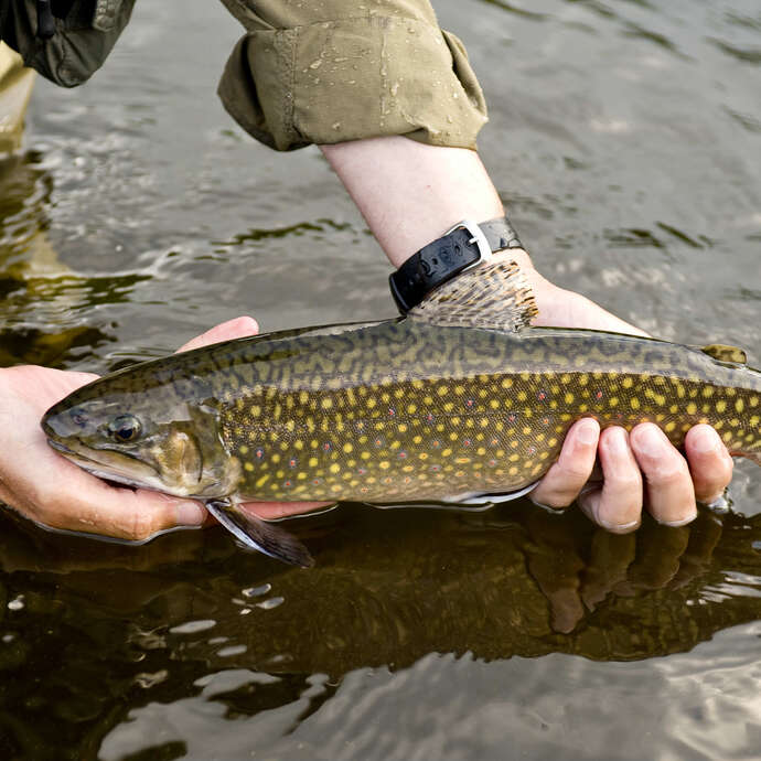 Découverte pêche au Tenkara