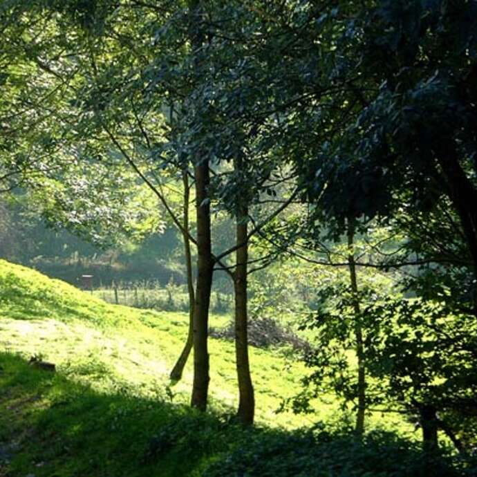 Parc départemental du Chasseur