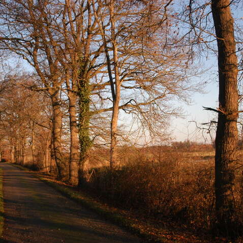 Circuit n°23 - Sury-le-Comtal