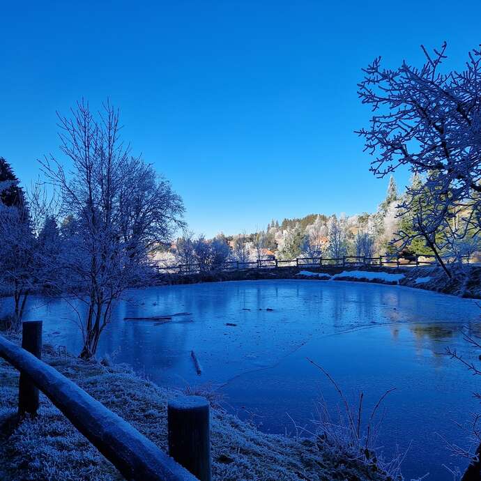 Les Ateliers des Babets : stage d'écriture pour s'enforester et se libérer
