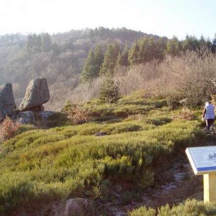 Sentier d'interprétation de la Tortue - boucle de 700m