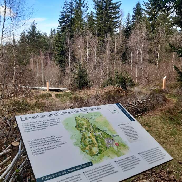 Sentier nature de Planfoy et tourbière des Vernels - Aller retour de 2km