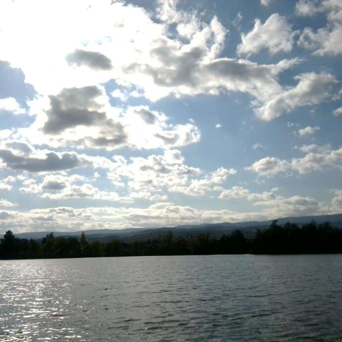 Walk around the Savigneux pond